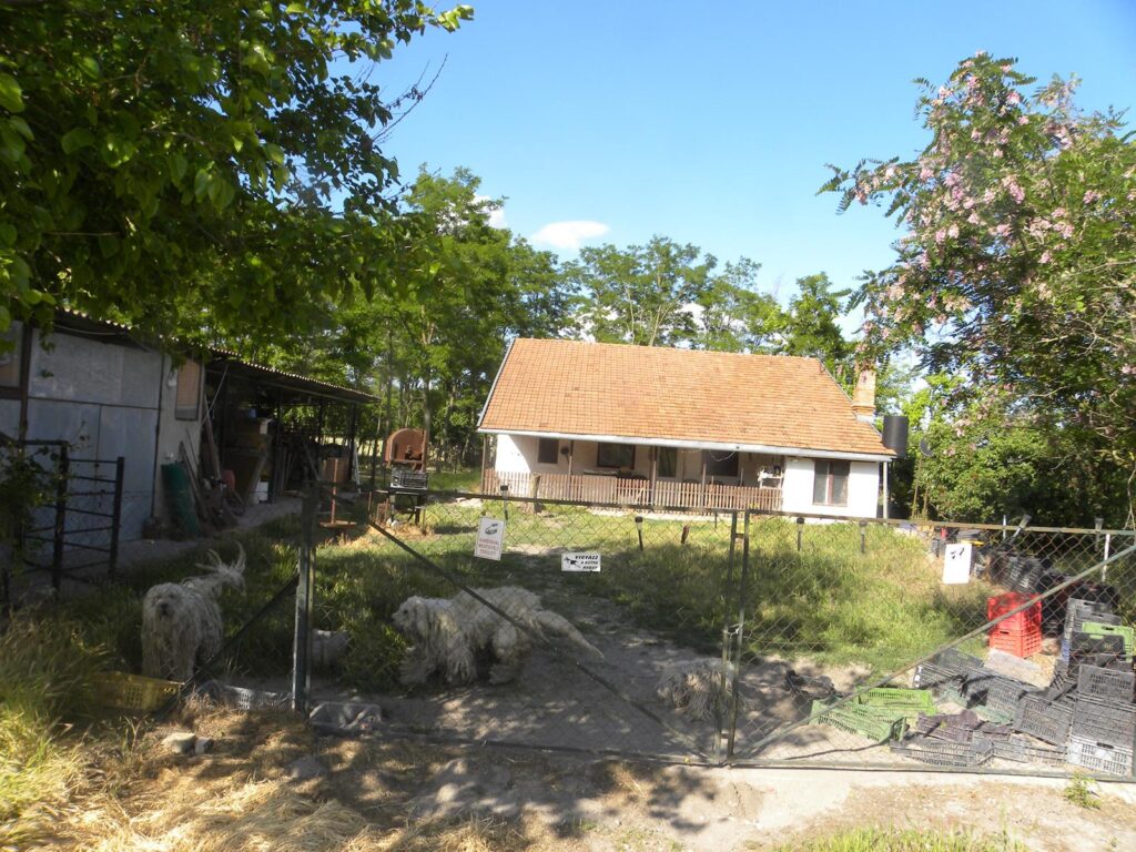 rustig gelegen boerderij met zwembad id 453 18